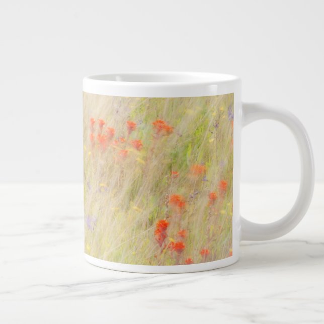Grande Tasse Nature Conservancy | Îles San Juan, WA (Droite)