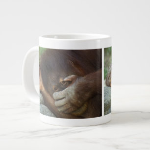 Grande Tasse Orang-outan de Sumatra, Pongo pygmaeus