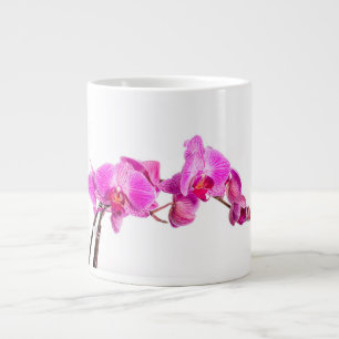 Grande Tasse Orchid