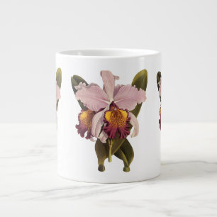 Grande Tasse Orchidée Cattleya pourpre vintage, fleurs tropical