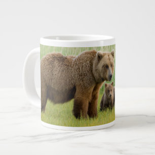 Grande Tasse Ours brun d'Alaska avec des oursons dans une prair