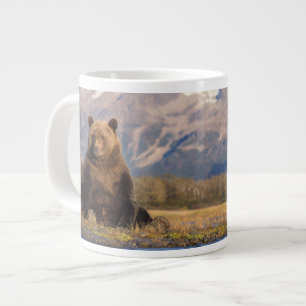 Grande Tasse ours brun, Ursus arctos, grizzli, Ursus