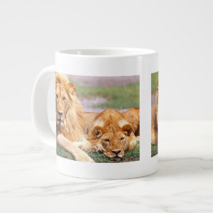 Grande Tasse Paire de lions africains, Panthera leo, Tanzanie
