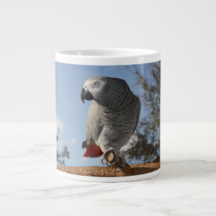Grande Tasse Perroquet renversant de gris africain