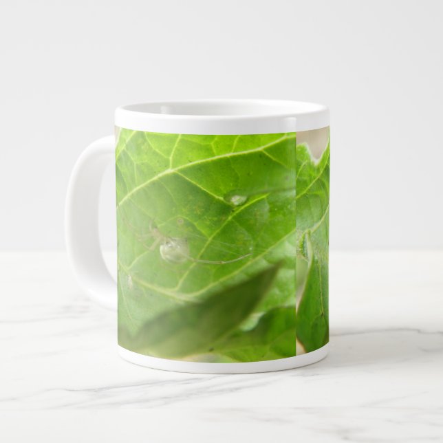 Grande Tasse Petite boue d'araignée (Devant gauche)