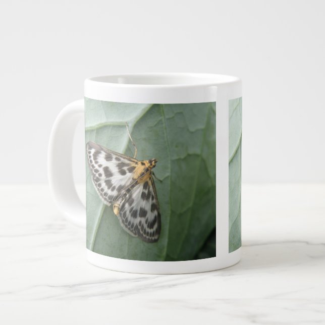 Grande Tasse Petite boue de papillon (Devant gauche)