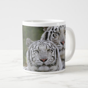 Grande Tasse Phase blanche, Tigre du Bengale, Tigre du Tigre, T