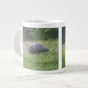 Grande Tasse Pigeon Musique