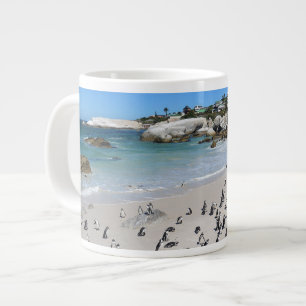 Grande Tasse Plage de Penguins Boulders  Afrique du Sud
