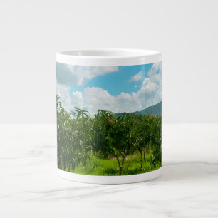Grande Tasse Plantation de mangues Dambulla Sri Lanka Cadre mur