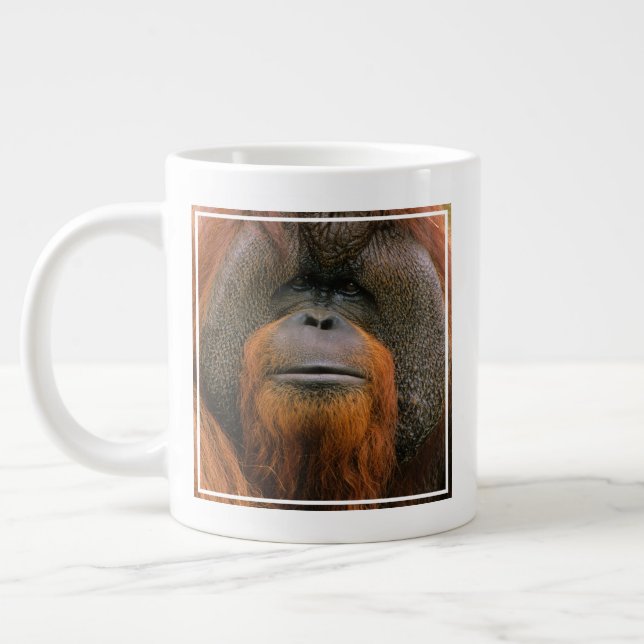 Grande Tasse Portrait d'un orang-outan mâle, Géorgie, États-Uni (Gauche)