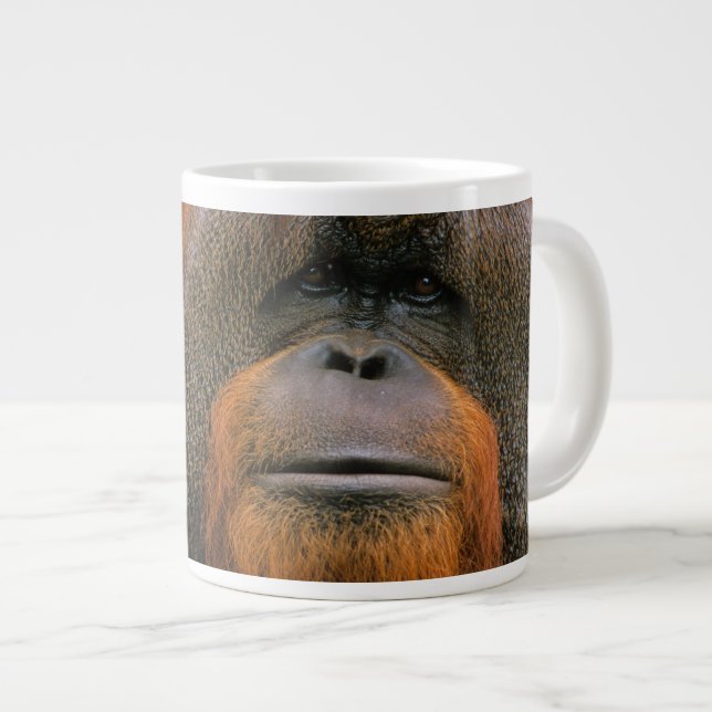 Grande Tasse Portrait of Orang-utang Male, Georgia, USA (Devant droit)