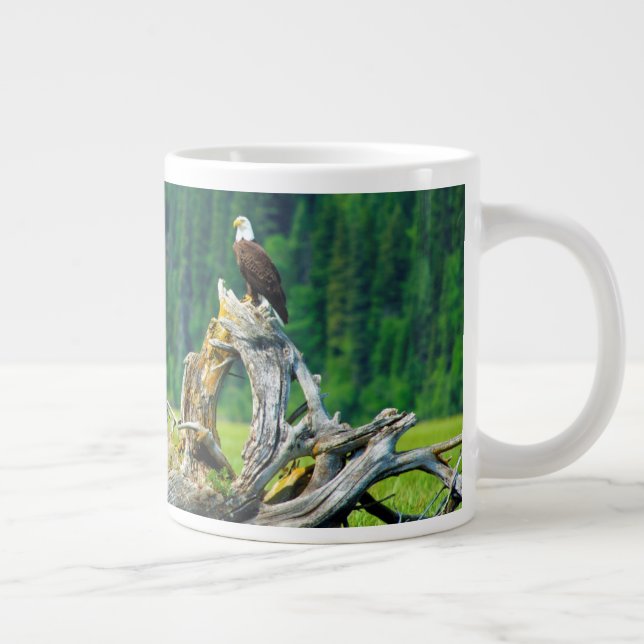 Grande Tasse Pygargue à tête blanche perché sur une branche (Droite)