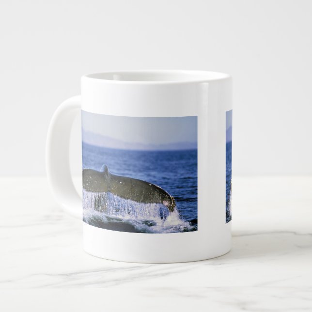 Grande Tasse Queue de baleine à bosse. (Devant gauche)