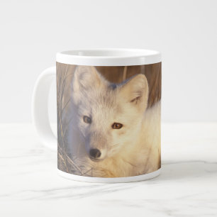 Grande Tasse renard arctique, Alopex lagopus