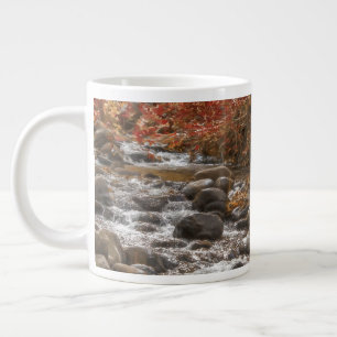 GRANDE TASSE RIVIÈRE DE LA FORÊT D'AUTOMNE SEDONA ARIZONA
