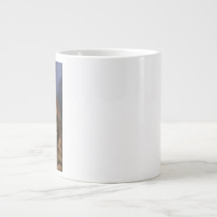 Grande Tasse Saint Jacques le Majeur par Rubens 