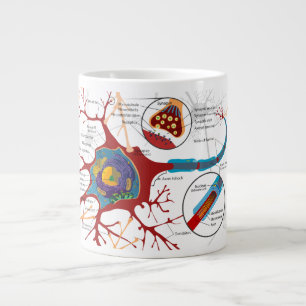 Grande Tasse Science du diagramme des cellules nerveuses