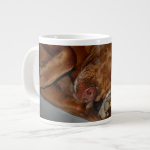 Grande Tasse Shop Chocolate Lab Pit Mix Chien