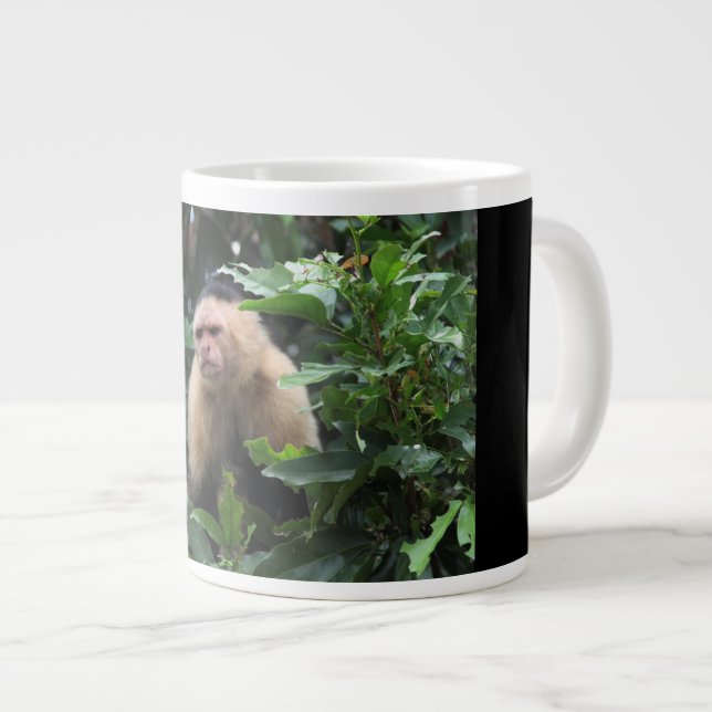 Grande Tasse Singe capucin, Panama, Jungle, Photographie (Devant droit)