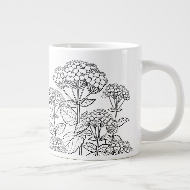 Grande Tasse Snakeroot blanc - Ageratina altissima - Autochtone (Droite)