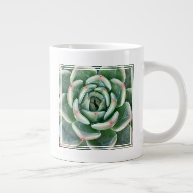 Grande Tasse Succulent à pointe rouge verte (Droite)