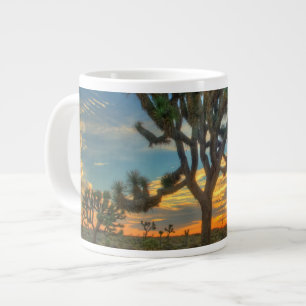 Grande Tasse Sunrise Du Parc National Joshua Tree