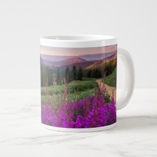 Grande Tasse Sunrise fleur sauvage   Butte de crête, Colorado