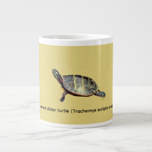 Grande Tasse Tortue à oreilles rouges