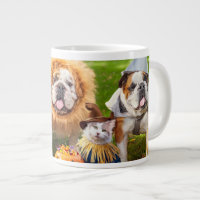 Trois Bulldogs en costumes