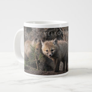 Grande Tasse Trois Cubs Fox, Parc national de Yellowstone, Wyom