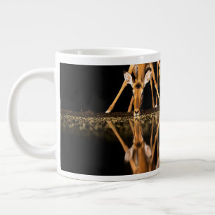 Grande Tasse Trois impalas boivent ensemble la nuit