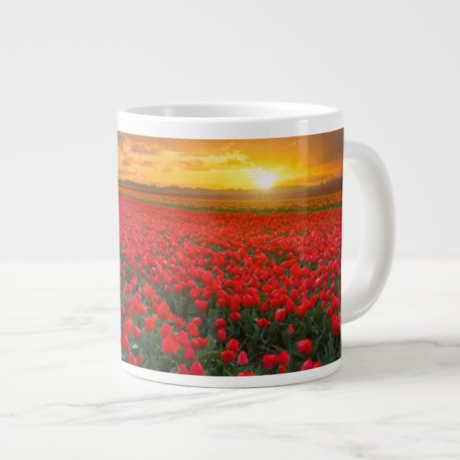 Grande Tasse Tulip Fields au coucher du soleil au Pays-Bas (Devant droit)