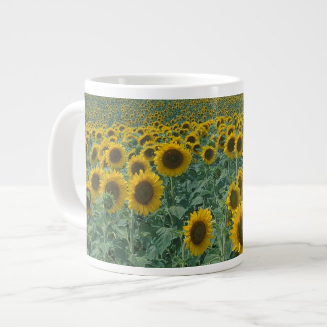 Grande Tasse UE, France, Provence, champ de tournesol (Devant gauche)