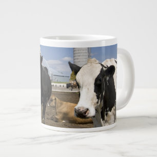 Grande Tasse Vaches devant une grange rouge et un silo dans une