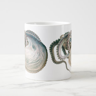 Grande Tasse Vintage Octopus Argonaut, Marine Life Animaux