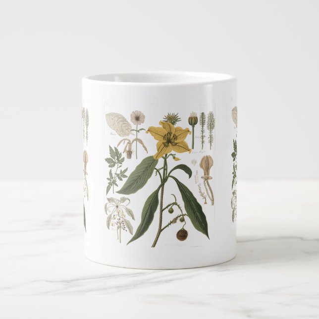 Grande Tasse Vintage Scientific Botanical Plate (Devant)