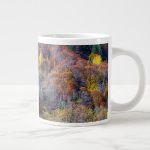 Grande Tasse Vue aérienne de la forêt d'automne Arbres colorés