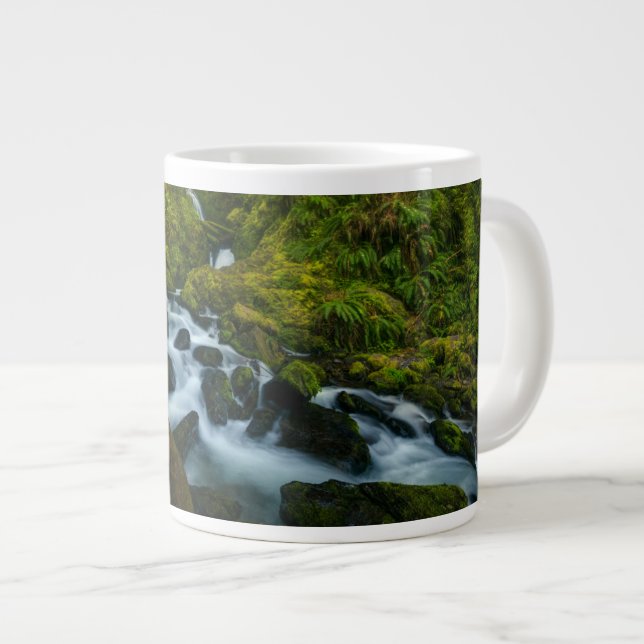 Grande Tasse Waterfalls | Olympic National Park, Washington (Devant droit)