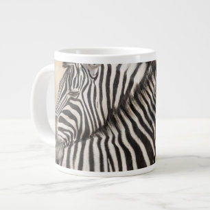 Grande Tasse Zèbres de Burchell se battant