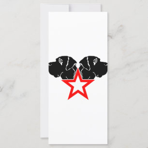 Grande tête Dane Star