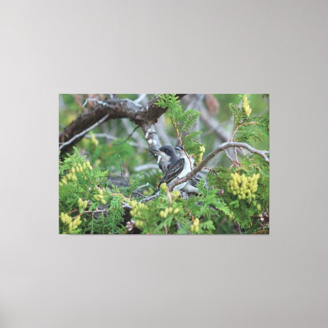 Grande toile d'oiseaux gris (Recto)