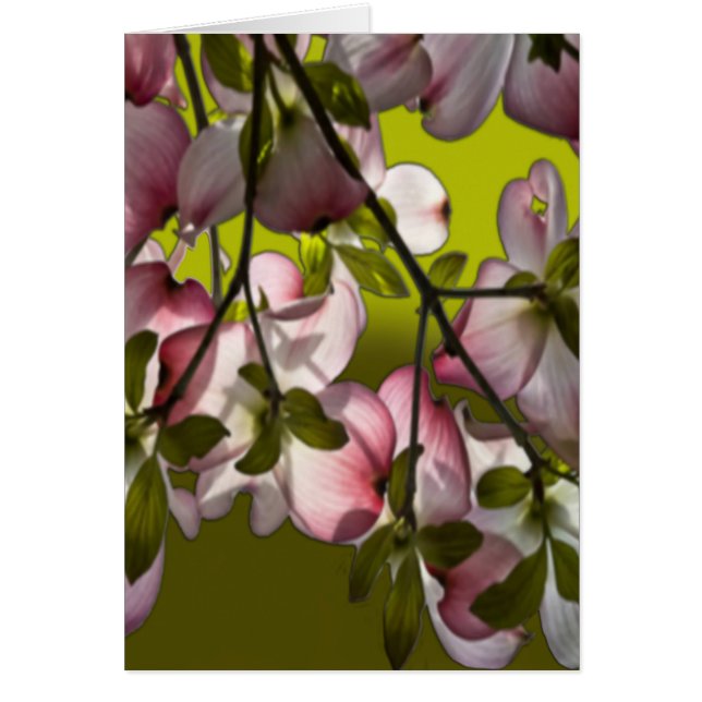 Grandes Fleurs de Dogwood Rose - Vert (Devant)