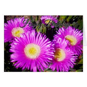 Grandes marguerites violettes éblouissantes, carte