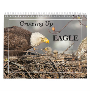 Grandir dans le calendrier Eagle