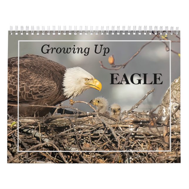 Grandir dans le calendrier Eagle (Protection)