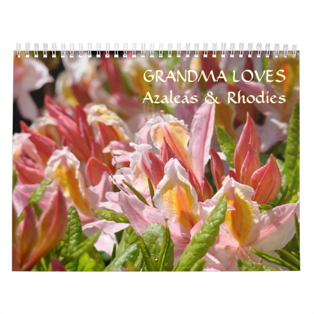 GRANDMA AIME Azaleas & Rhodies Calendrier Cadeaux (Protection)