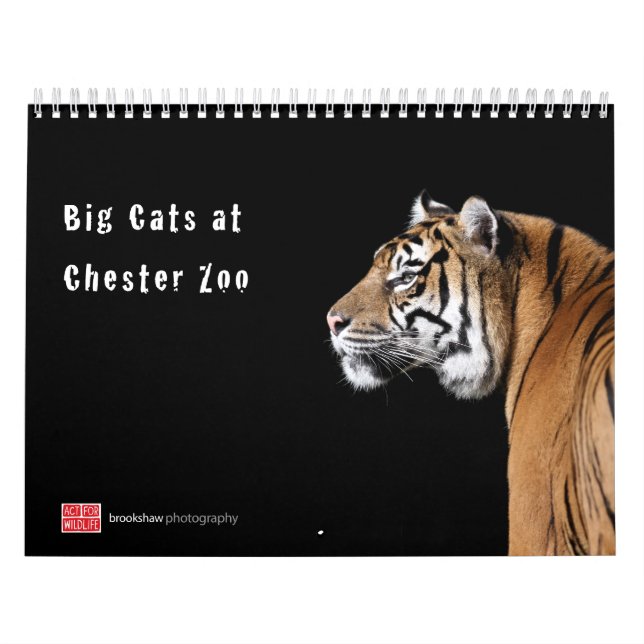 Grands chats au calendrier de zoo de Chester (Protection)