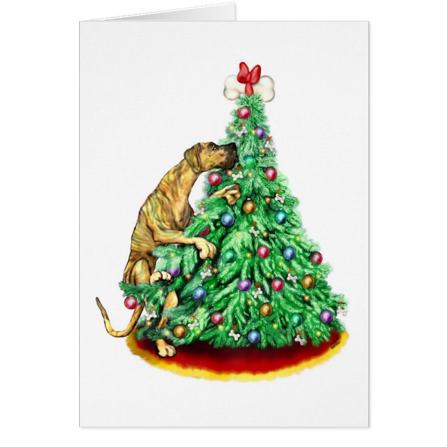 Grands Dane Noël atteindre les objectifs Brindle U (Devant)