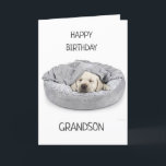 GRANDSON L'ANNIVERSAIRE ! CARTE<br><div class="desc">MERCI DE VOUS ÊTRE ARRÊTÉS PAR UN DE MES HUIT MAGASINS ! ! ! !</div>